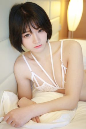 食物链12_蓝光高清全集免费观看